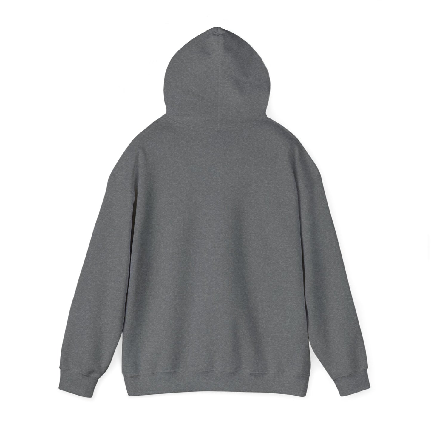 RETRO REWIND REPLAY HOODIE