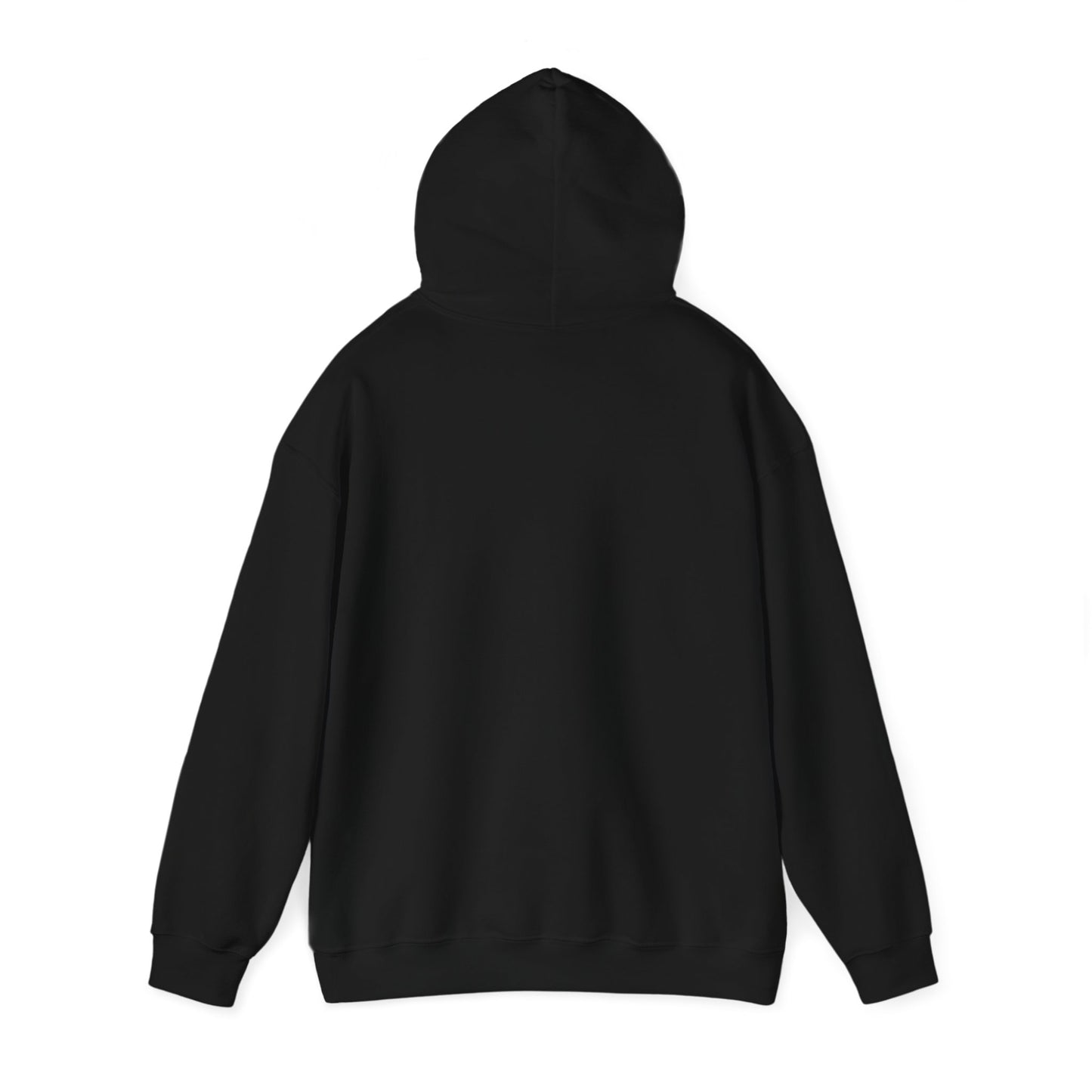RETRO REWIND REPLAY HOODIE